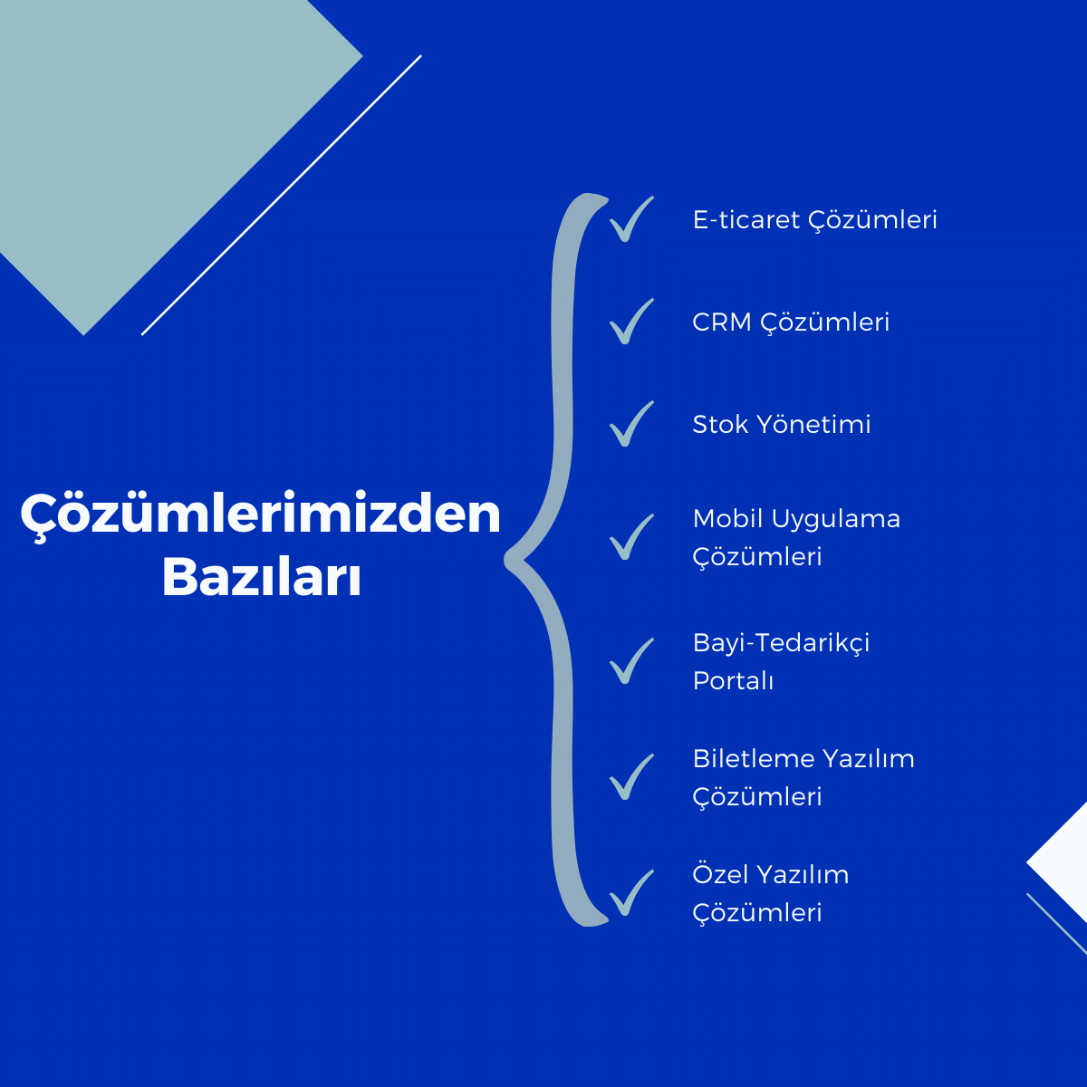 Twinleon Yazılım