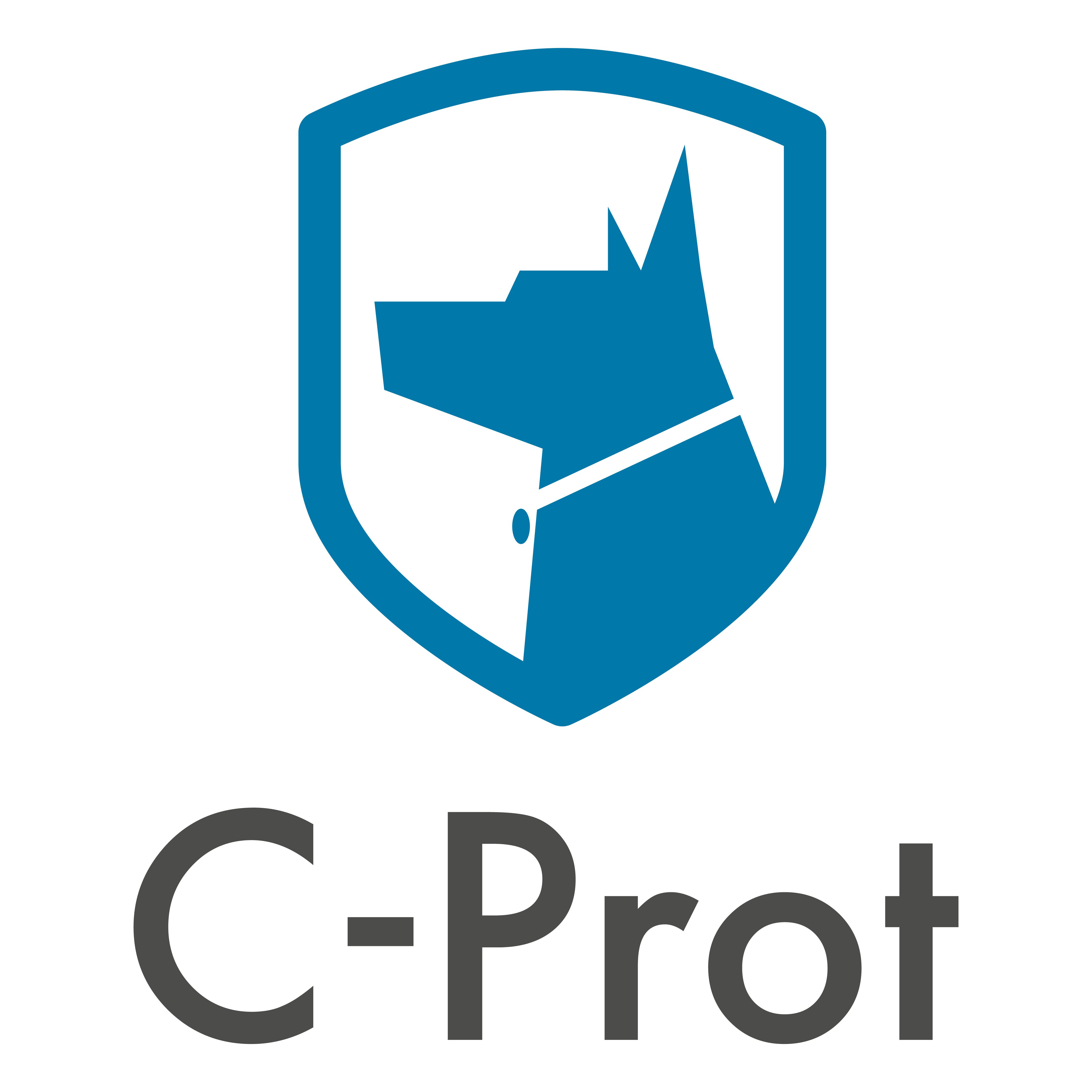 C-PROT SİBER GÜVENLİK TEKNOLOJİLERİ SANAYİ VE TİCARET ANONİM ŞİRKETİ