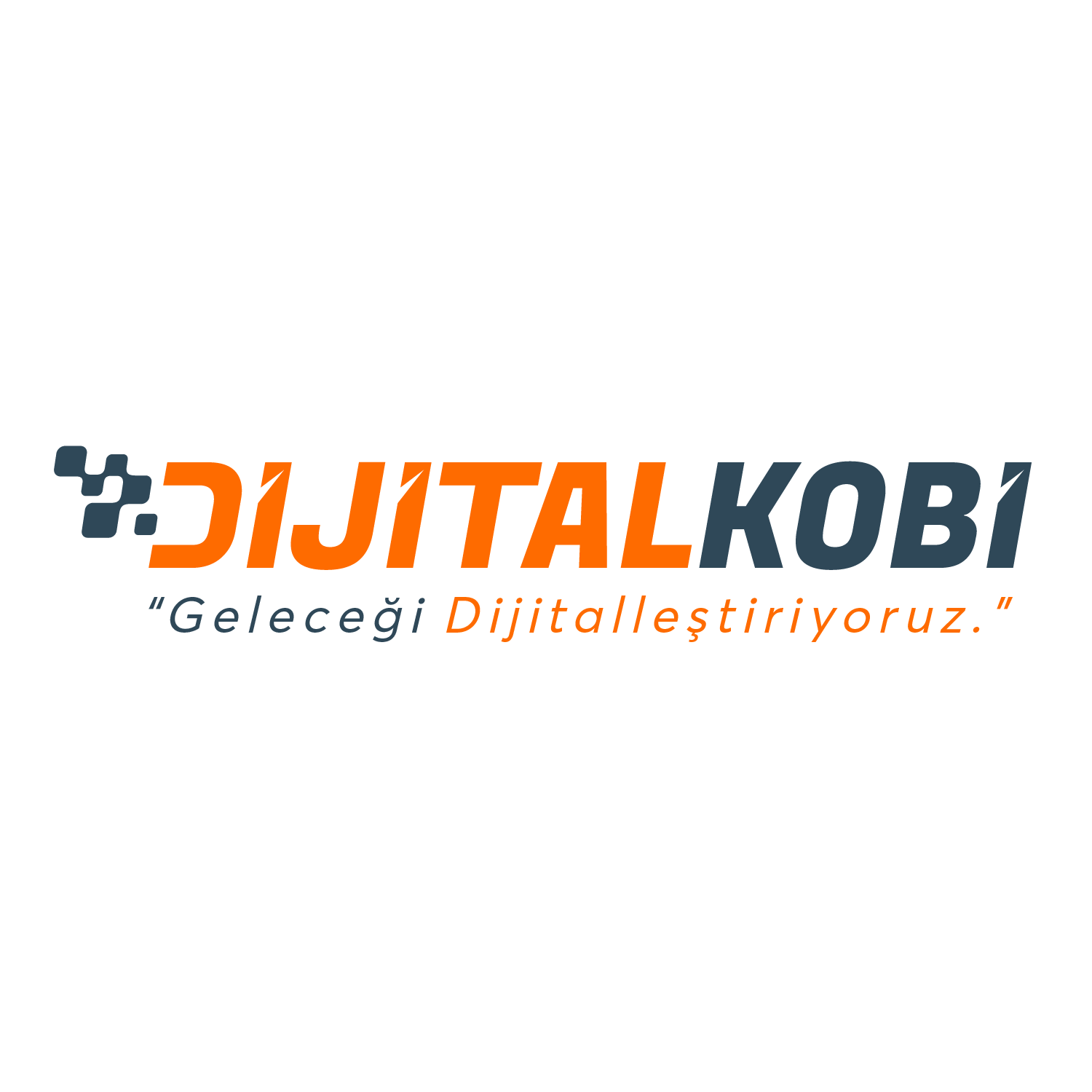 Dijital Kobi