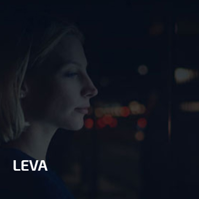 LEVA  -LuckyEye Sanal Asistan